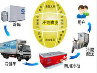 Read one article domestic cold chain logistics industry chain and business model