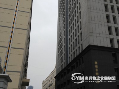 大廈樓高19層，面積2.27萬方，單層面積1163m2。首層層高6米，2-18層層高3.5米，配有4部電梯。 可作辦公、小型倉庫 。