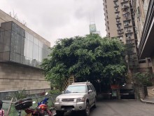 重慶/渝中區(qū)倉庫出租