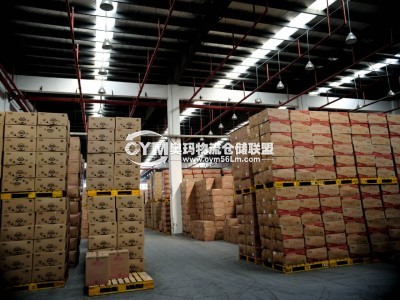 http://m.bitechong.cn/file/upload/sell/201903/20/17-36-15-22-30074.jpg.thumb.jpg