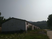 河南/平頂山/衛(wèi)東區(qū)倉(cāng)庫(kù)出租