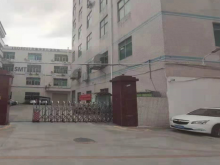 廣東-深圳-龍華區(qū)倉庫出租