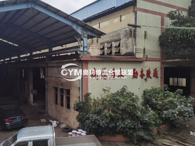 廣東-廣州-番禺區(qū)倉(cāng)庫(kù)出租