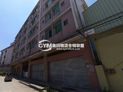 廣東-廣州-南沙區(qū)倉庫出租