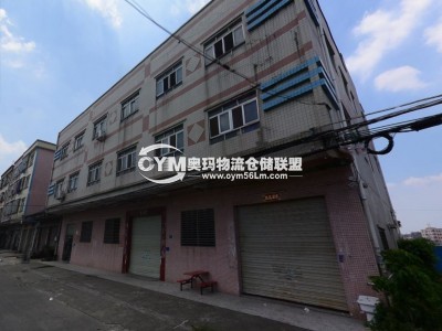 廣東-廣州-南沙區(qū)倉庫出租