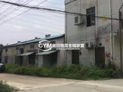 廣東-深圳-龍華區(qū)倉庫出租