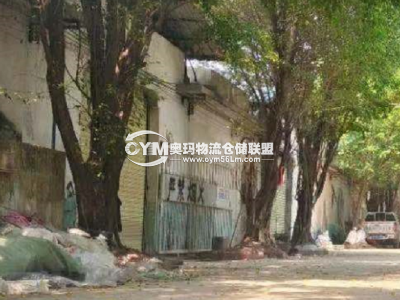 廣東-廣州-黃埔區(qū)倉庫出租
