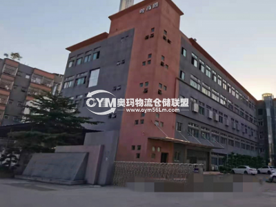 廣東-廣州-南沙區(qū)倉庫出租