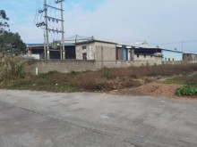 廣東/江門/臺山市倉庫出租