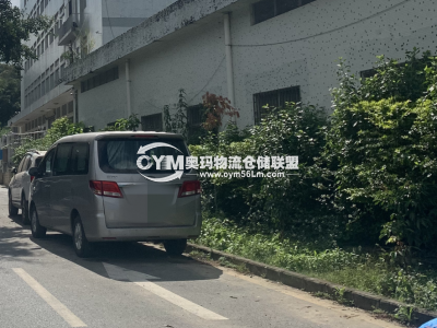 廣東-深圳-南山區(qū)倉庫出租