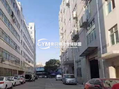 廣東-深圳-龍華區(qū)倉庫出租
