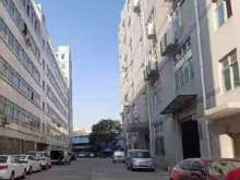 廣東-深圳-龍華區(qū)倉庫出租