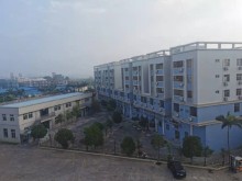 廣東/江門/臺山市倉庫出租