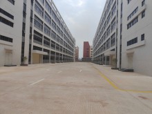廣東/河源/源城區(qū)倉庫出租