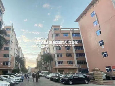 廣東-深圳-龍崗區(qū)倉庫出租