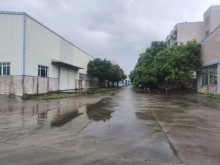 廣東/廣州/南沙區(qū)倉庫出租