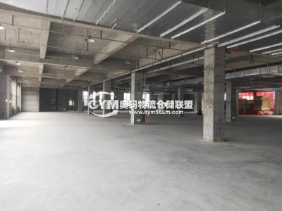 樓倉，平倉   20000㎡