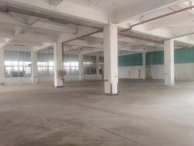 福建/廈門/海滄區(qū)倉(cāng)庫(kù)出租
