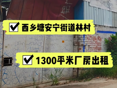 廣西南寧西鄉(xiāng)塘區(qū)有1300平米普通倉(cāng)庫(kù)純租 (292播放)